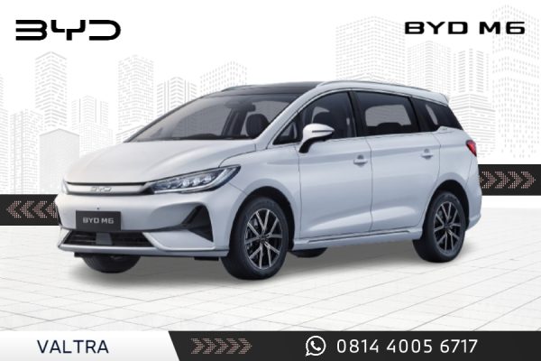 BYD M6