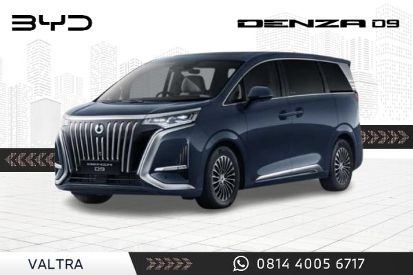BYD DENZA D9